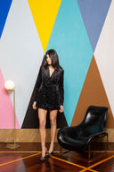 Sequin Velvet Mini Skirt