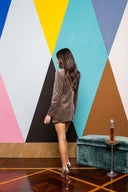 Sequin Velvet Mini Skirt