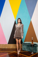 Sequin Velvet Mini Skirt