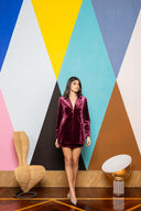 Velvet Blazer