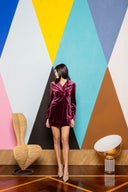 Velvet Blazer